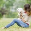 Popular websites for pet lovers